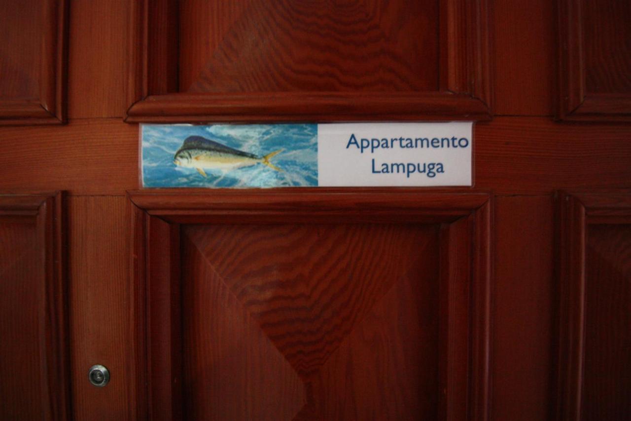 Mimi Sul Mare Apartment Massa Lubrense Ngoại thất bức ảnh