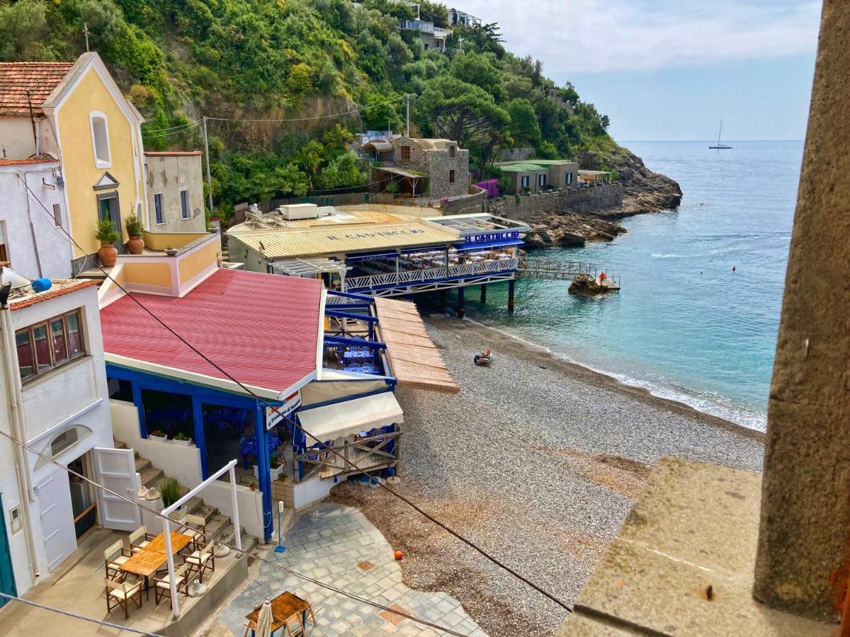 Mimi Sul Mare Apartment Massa Lubrense Ngoại thất bức ảnh